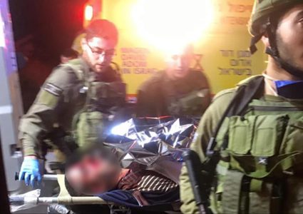 "الخارجية": نتابع جريمة إعدام الخواجا مع الجنائية الدولية