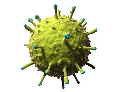 طرق التشخيص و الوقاية من الفيروسات