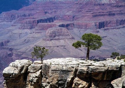علماء يصنفون المواقع الأكثر أمانا للاختباء من تفشي فيروسات قاتلة