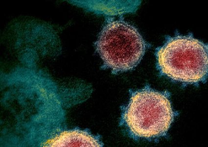 تحليل جيني مثير يعطي معلومات محتملة مفاجئة عن فيروس كورونا!