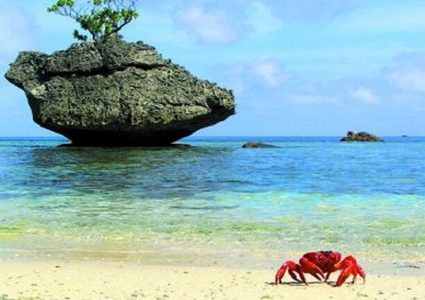 علماء: اكتشاف في جزيرة كريسماس يعيد رسم خارطة الحياة