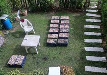 مصر.. القبض على عائلة صينية تقيم وليمة من الثعابين !