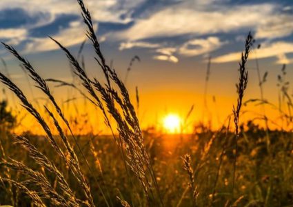 الطقس: ارتفاع طفيف على درجات الحرارة