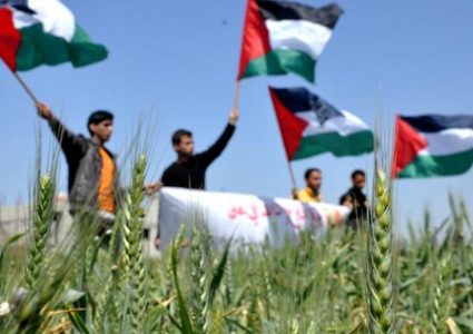 إطلق حملة رقمية لإحياء ذكرى يوم الأرض داخل اراضي عام 48