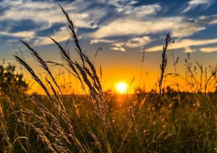 حالة الطقس: ارتفاع على درجات الحرارة حتى الأحد