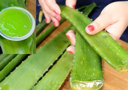 الصبار هو العلاج الأمثل لمشكلة تساقط الشعر