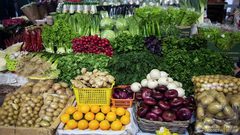 طبيبة تكشف بديلا للثوم والزنجبيل في تعزيز مناعة الجسم