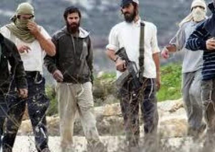 مستوطنون يمنعون المزارعين من الوصول لأراضيهم شرق بيت لحم