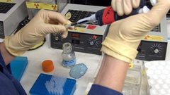 مختص بالأمراض الجينية: كورونا يمكن أن يطور نفسه وقد يستمر لعامين