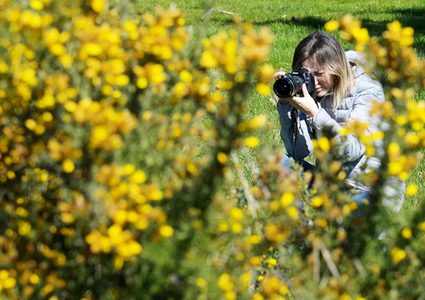 ما أعراض حساسية حبوب اللقاح وكيف يمكن علاجها؟