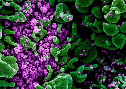 كيف تنشأ الأوبئة الجديدة حول العالم؟