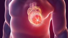 ما هو تأثير الفيروسات على عضلة القلب ؟