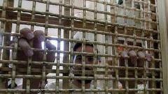 شؤون الأسرى: الاسير الحلبي عرض 135 مرة على محاكم الاحتلال