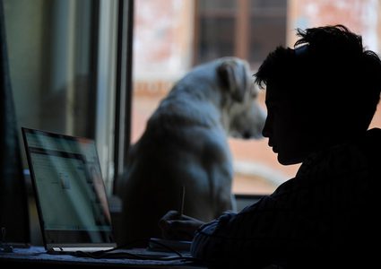 فرنسا تحذر من استخدام المعقمات على الحيوانات