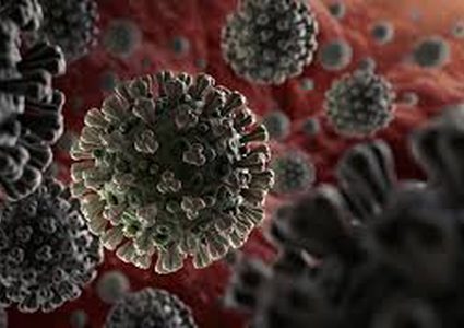 عالم فيروسات لـ "النجاح": لقاح كورونا لن يكتمل قبل أكتوبر القادم