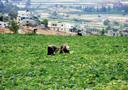 العطاري:لدينا مخزون زراعي يكفي لـ6 أشهر ولن نسمح باستغلال المواطن
