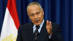 أبو الغيظ يحذر من مخطط إسرائيلي لضم غور الأردن