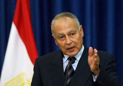 أبو الغيظ يحذر من مخطط إسرائيلي لضم غور الأردن