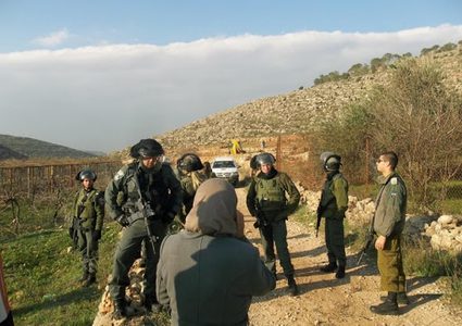 صوافطة: الاحتلال يعمد لفرض سيادته على الاغوار الشمالية