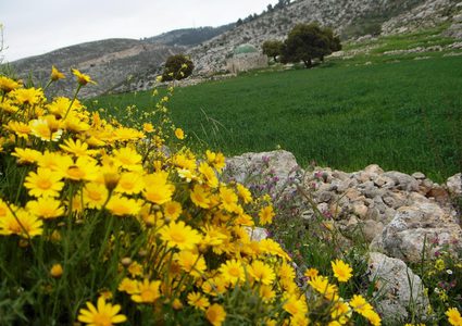 الطقس: الحرارة أعلى من معدلها السنوي العام بحدود درجتين