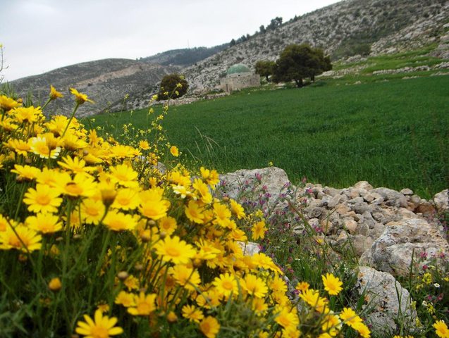 الطقس: الحرارة أعلى من معدلها السنوي العام بحدود درجتين