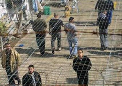 نقابة المحاميين: 5 آلاف أسير يتعرضون لانتهاكات من قبل الاحتلال