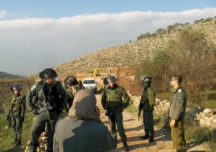 اخطارات بإزالة منشآت زراعية في الأغوار