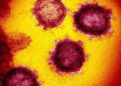 خبيرة تقيم الفرضية المتعلقة بتأثير فيروس كورونا في الهيموغلوبين