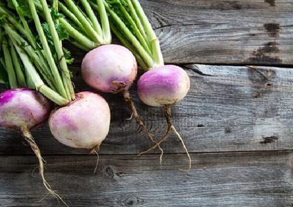 تعرفوا على فوائد اللفت الغذائية والجمالية للحامل