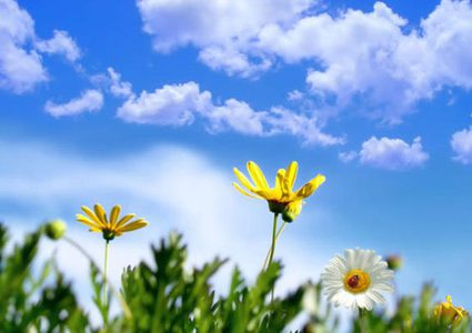 الطقس: الحرارة أعلى من معدلها السنوي بحدود 6 درجات