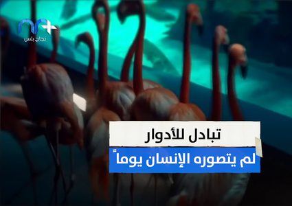 في زمن كورونا غاب الانسان .. فتنفست الطبيعة الصعداء