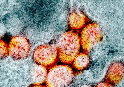 العلماء يكشفون الطريقة الوحيدة للتغلب على كورونا