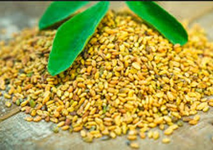 ما هي النبتة التي تساعد على تحويل الدهون إلى عضلات ؟