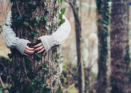 دولة تطلب من مواطنيها معانقة الشجر للتخلص من شعور وحدة العزل