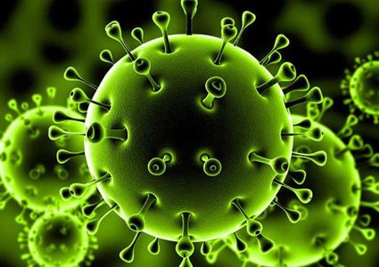 الولايات المتحدة:تحذر من موجة فيروس تاجي أكثر ضررا الشتاء القادم