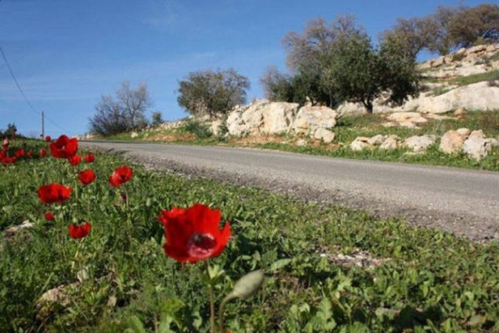 الطقس: انخفاض على درجات الحرارة اليوم وارتفاعها غدا