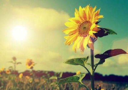 الطقس: ارتفاع درجات الحرارة مع بقائها أقل من معدلها السنوي العام