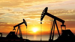 النفط الأمريكي  ينخفض بنحو 25%