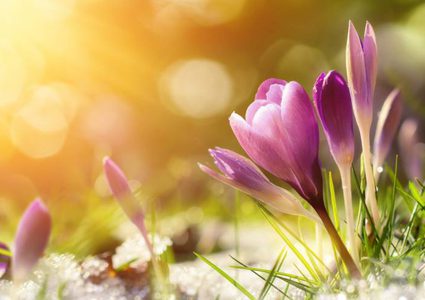 الطقس:ارتفاع آخر على درجات الحرارة مع بقائها أقل من معدلها