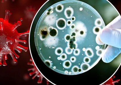 علماء صينيون: كورونا لن يختفي وسيعود للظهور سنويا