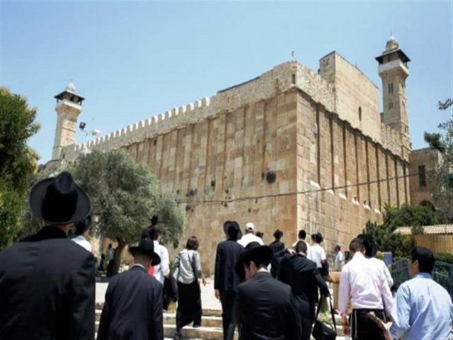 زكي: المقدسات بالقدس والخليل في خطر حقيقي