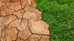 ما هي الكارثة البيئة التي يحذر العلماء من وقوعها في 2070 ؟