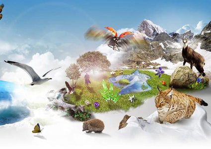 مسابقة اليوم العالمي للتنوع الحيوي فلسطين