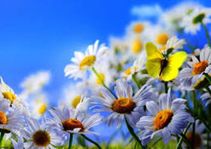 حالة الطقس: أجواء ربيعية وارتفاع على درجات الحرارة