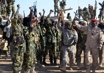 النيجر: مقتل 75 إرهابيا من "بوكو حرام"