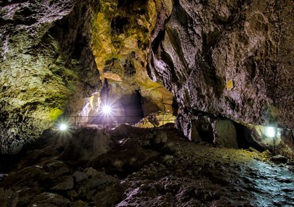 أين ظهر أقدم إنسان في قارة أوروبا ؟