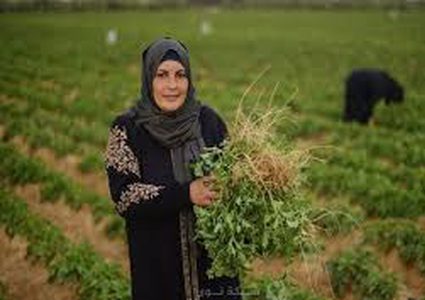 "الاقتصاد" تعلن عن منح لدعم النساء في القطاع الزراعي
