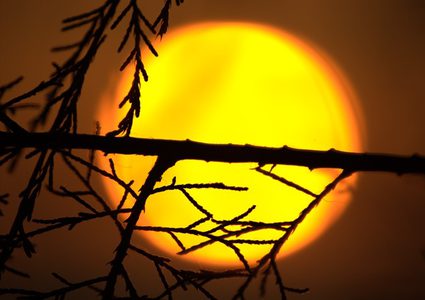 تحذير.. الشمس تدخل في فترة "سبات كارثي" !