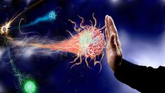 ما هي العادات الغذائية التي تضعف جهاز المناعة ؟