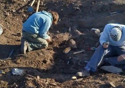 العثور على بقايا آخر ديناصور مفترس على الأرض